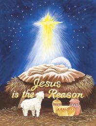 Jesus is The Reason Christmas Holiday House or Garden Flag
