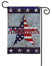 America Patriotic Celebration Seasonal Garden and House Flag (Flag size: 12.5" x 18")