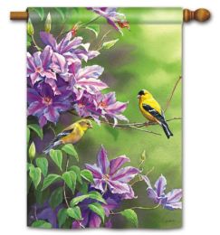 Finch Pair Spring Seasonal Decorative Garden & House Flag (Flag size: 28" x 40")